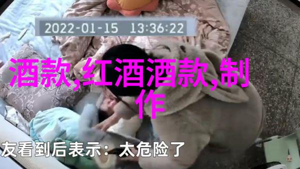 追求完美的爱不同类型玫瑰的特点与选择