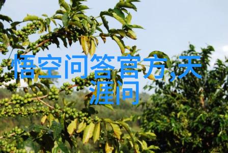 最好的老物件交易平台我爱二手的奇妙冒险