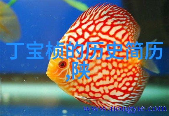 夏日出游寻宝奇迹的绿洲之旅