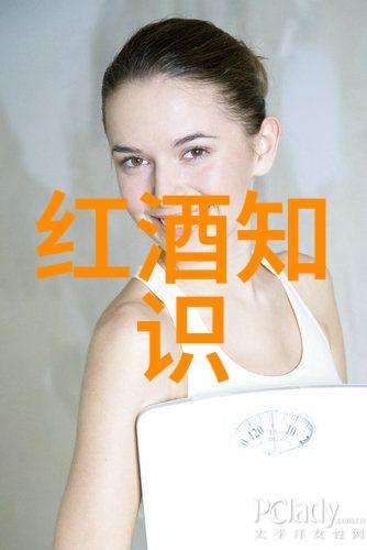 稳健回报揭秘高收益且稳定性基金的选择指南