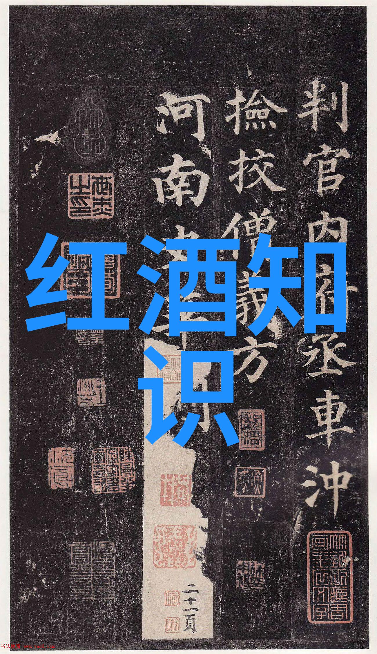 主题我来聊聊那些你在法国旅途中必定会尝试的有名葡萄酒