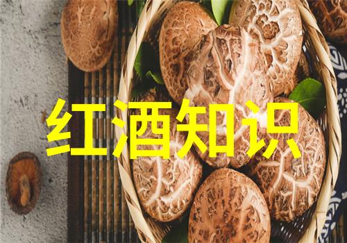 污秽教室未增删翻译樱花 - 尘封的知识一个污秽教室中的翻译故事