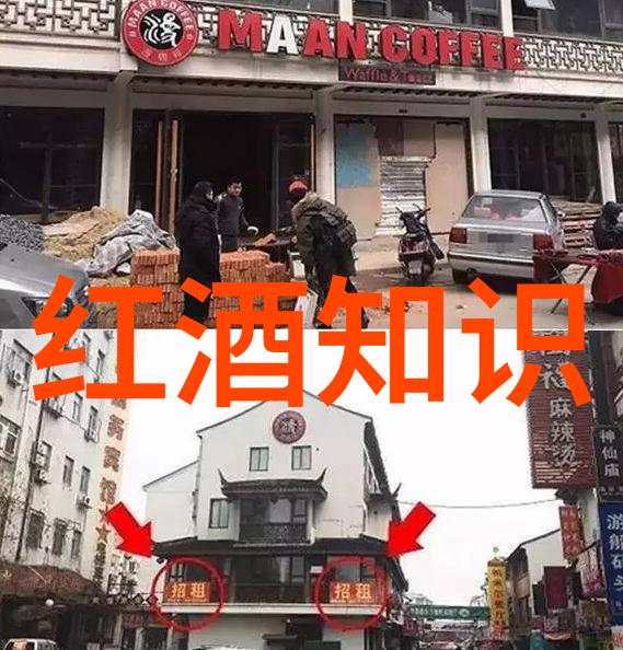 猫科动物-探索猫科动物的多样性揭秘各种珍稀品种