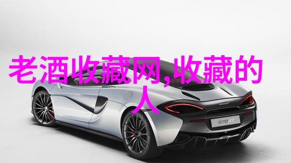 葡萄酒的八大产区巴黎波尔多图雷克罗讷河谷普罗旺斯皮埃蒙特大堡垒山脉莱茵河谷