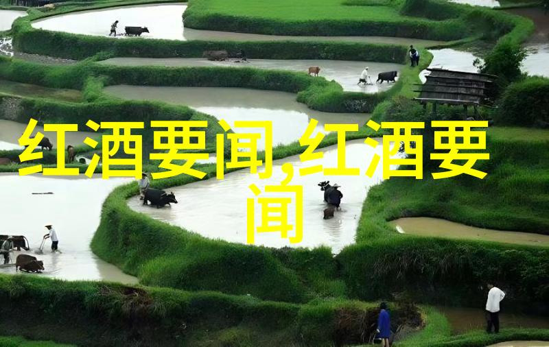 人物探寻葡萄酒单宁之谜追踪Morgenhof红酒的足迹