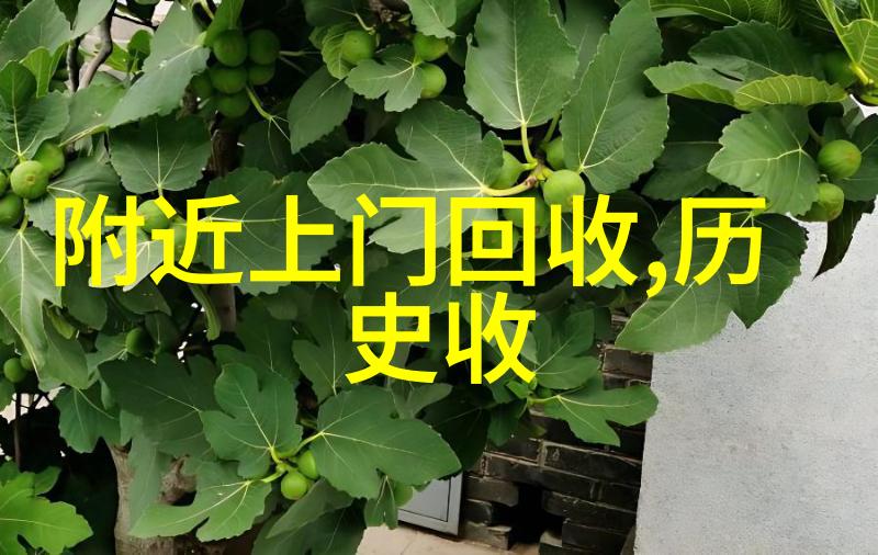 网络问答平台的安全登录系统如何确保用户隐私保护