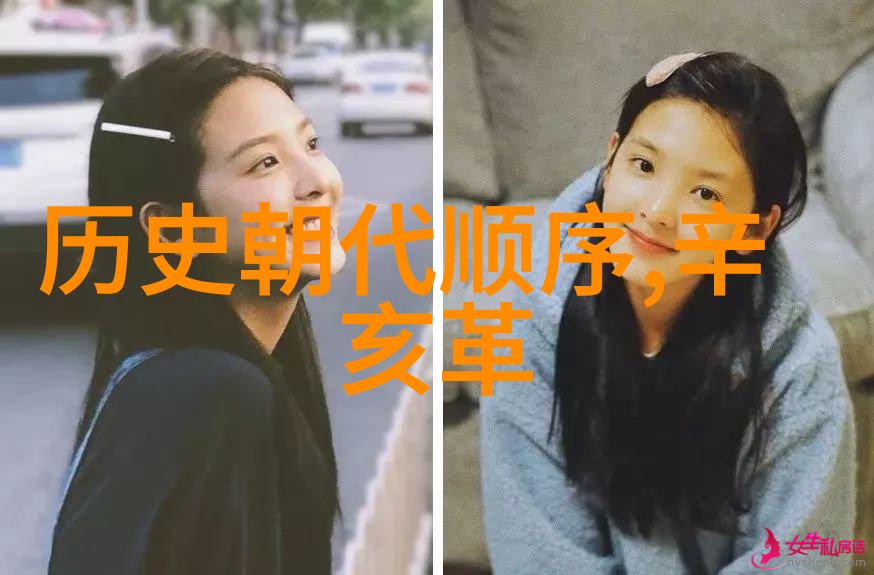 猫咪的世界喵呜宝贝们的多姿多彩之旅