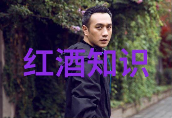 问答之轮智慧的无形纽带