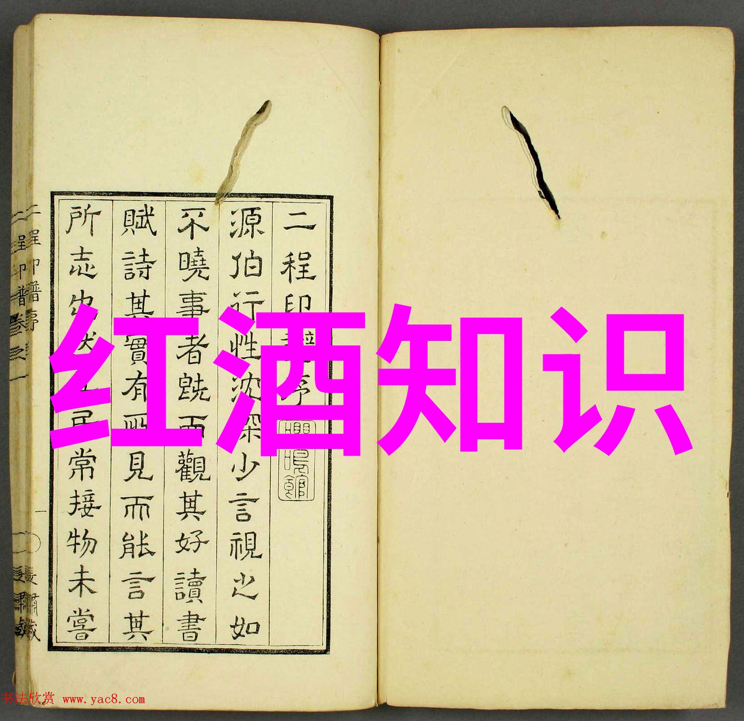 绚彩少女一幅画中的梦想