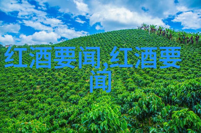 在迷雾缭绕的中世纪欧洲哪些庄园名字承载着古老的秘密和传奇故事
