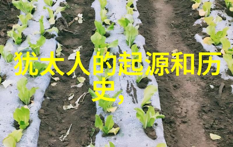 中国名人事迹李白的诗行穿越千年
