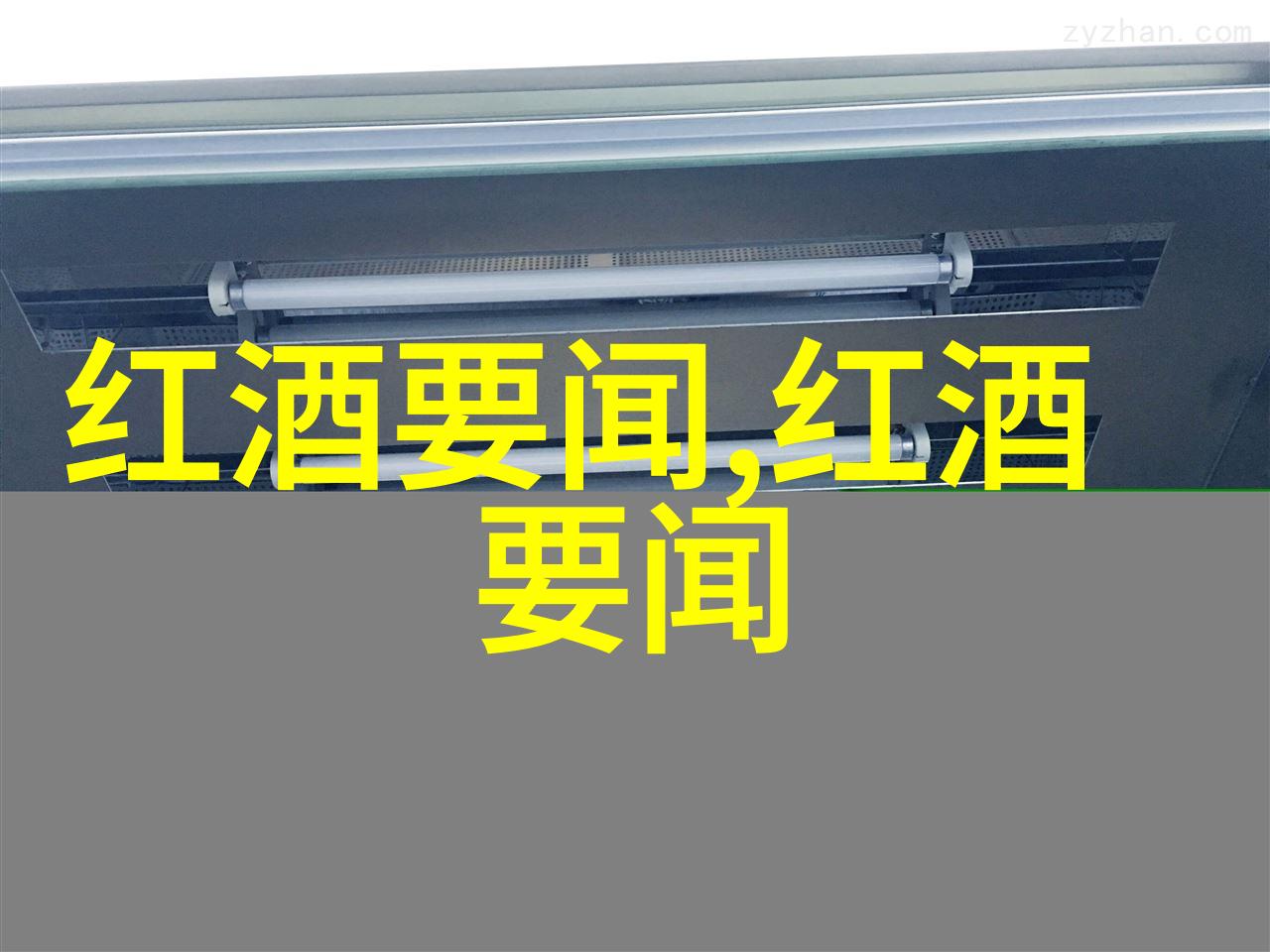 玫瑰花品种之美各种独特的玫瑰花