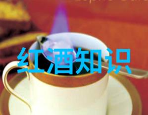 葡萄酒与美食-波尔多产区的醇香探索世界上最著名的葡萄酒之都