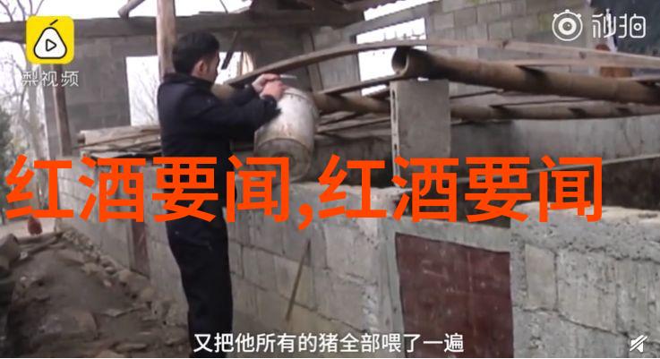浦江边的晨曦探索上海周边2天1夜自驾奇遇