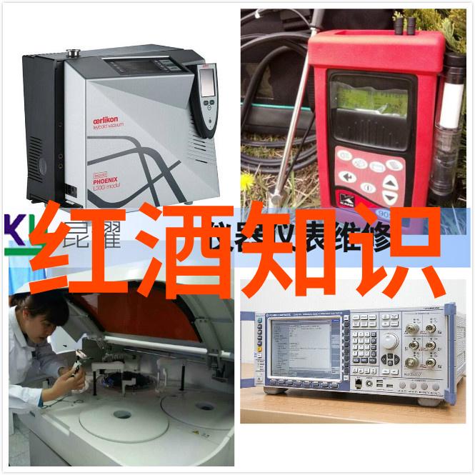 庄园与城堡的对比之美古典建筑风格的差异解析