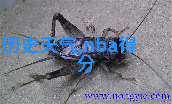 2017赤霞珠干红葡萄酒750ml我心中的那瓶时光机器