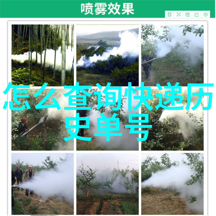 甘肃玉米种子十大品种尹卓莉亚的物品选择
