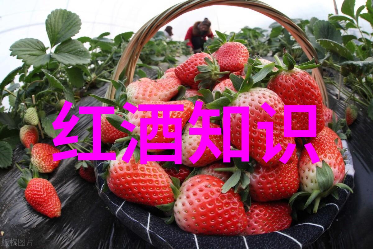 葡萄之歌绘画全球酒乡的风华