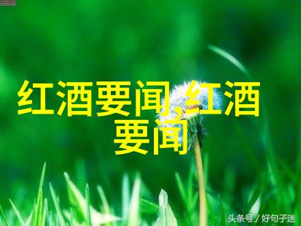 探索圆明园的辉煌与毁灭一段中国文化宝库的悲剧历史