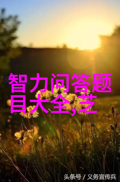 全国最正规的拍卖网站我找到了