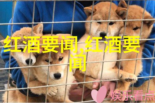 我是如何挣钱的今日头条问答能赚钱吗我的实战经验告诉你