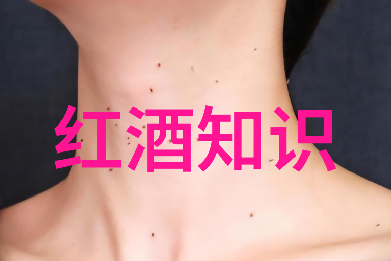 法国最有名的红酒产区是波尔多大师作品的源泉