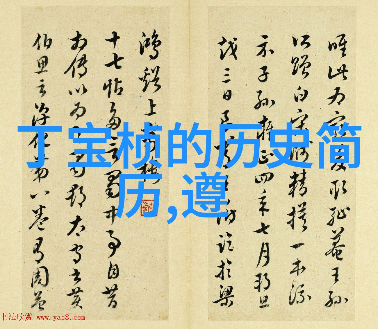 玫瑰花品种名字大全图片美丽的香气与色彩多样的世界