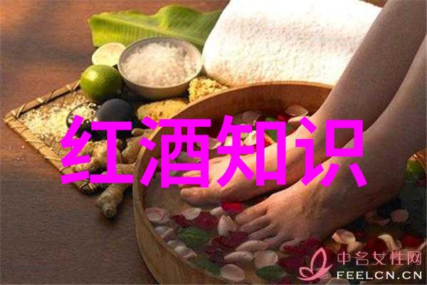 智慧播种蚂蚁庄园小课堂的宝贵收获