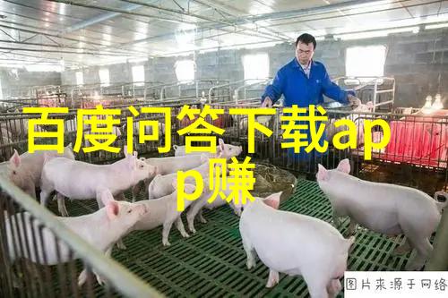 古老的脚步穿越时空的旅者