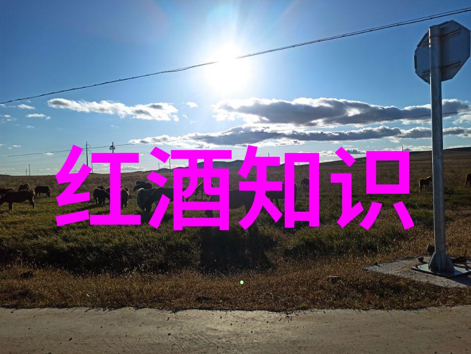 美国短毛波斯暹罗等著名长毛与短毛混血儿有什么优缺点它们适合谁来养呢