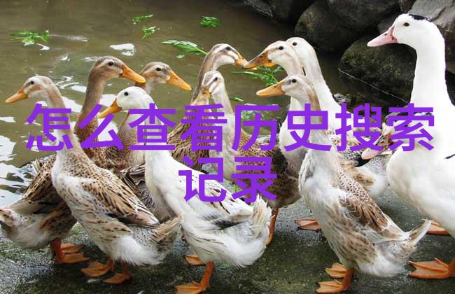 穿梭绿茵感受大自然适合短期的自驾旅游攻略