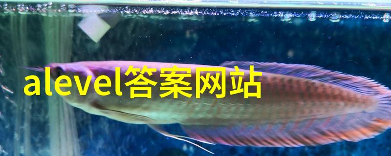金黄色调的丰收探索玉米品种的多样性