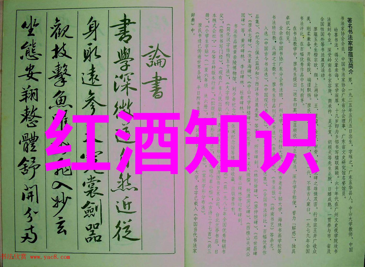 葡萄酒鉴赏-品味干红解读好干红葡萄酒的标准与秘诀