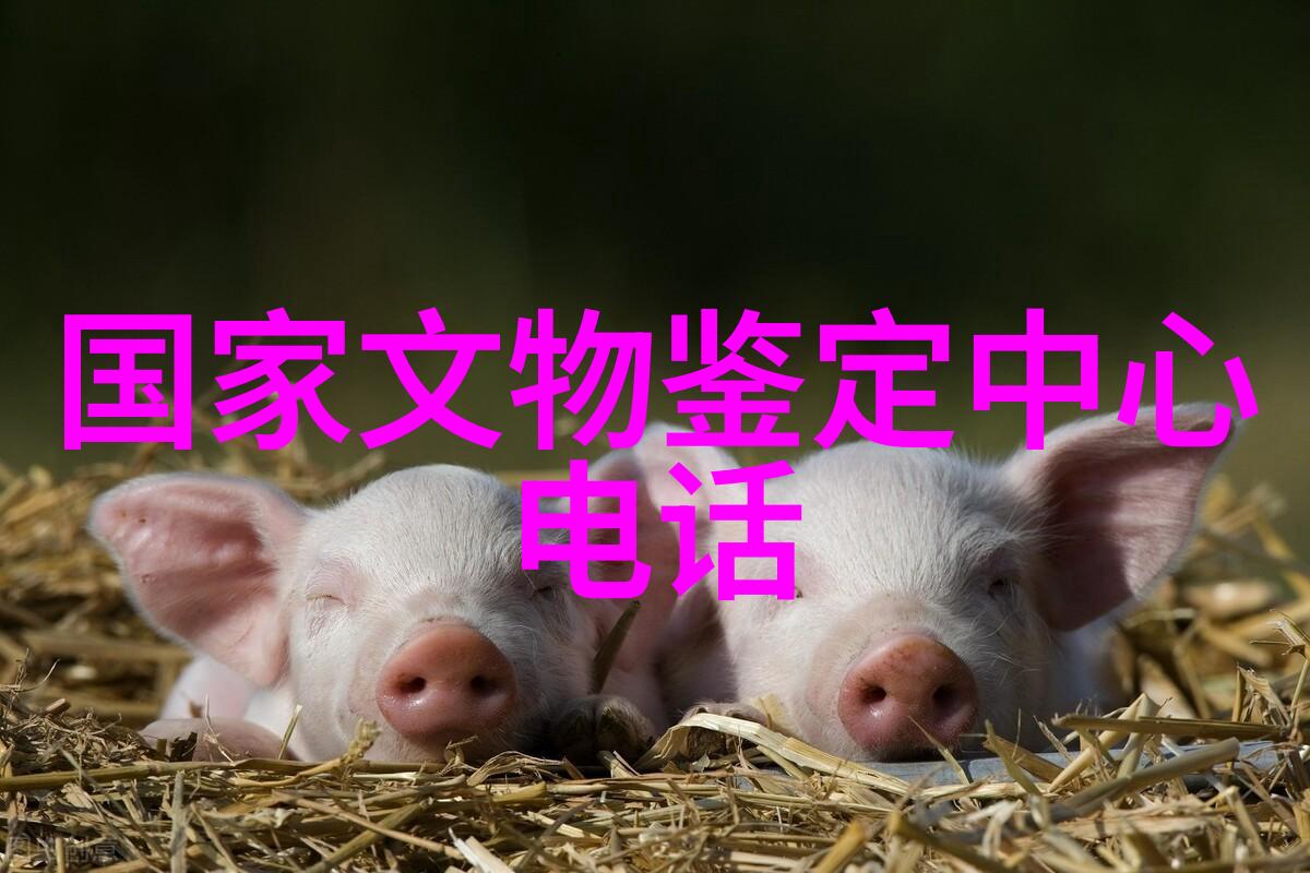 红酒品质与价格关系的探讨以价格作为衡量好红
