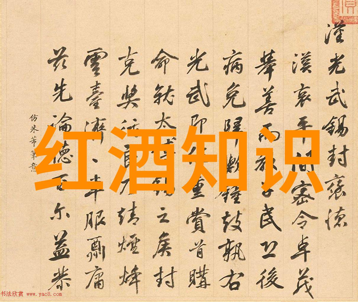 现金宝藏揭秘哪些纸币收藏价值翻倍的秘密