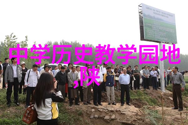 红酒之韵揭秘其文化深度的艺术与历史