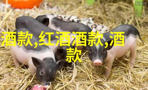 今天蚂蚁庄园答案列表咱们一起来看看那些隐藏的秘密吧
