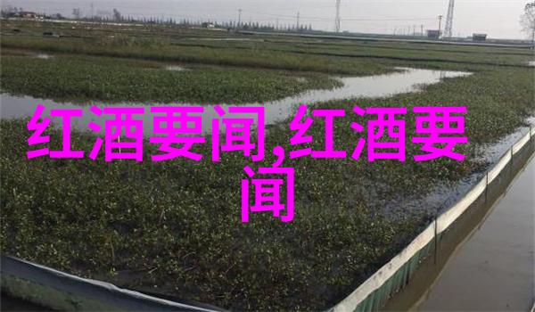 探秘7k7k小游戏中的恐怖庄园揭开其背后的神秘故事