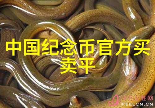 人民币纸币收藏网探索中国货币艺术的奇迹与价值