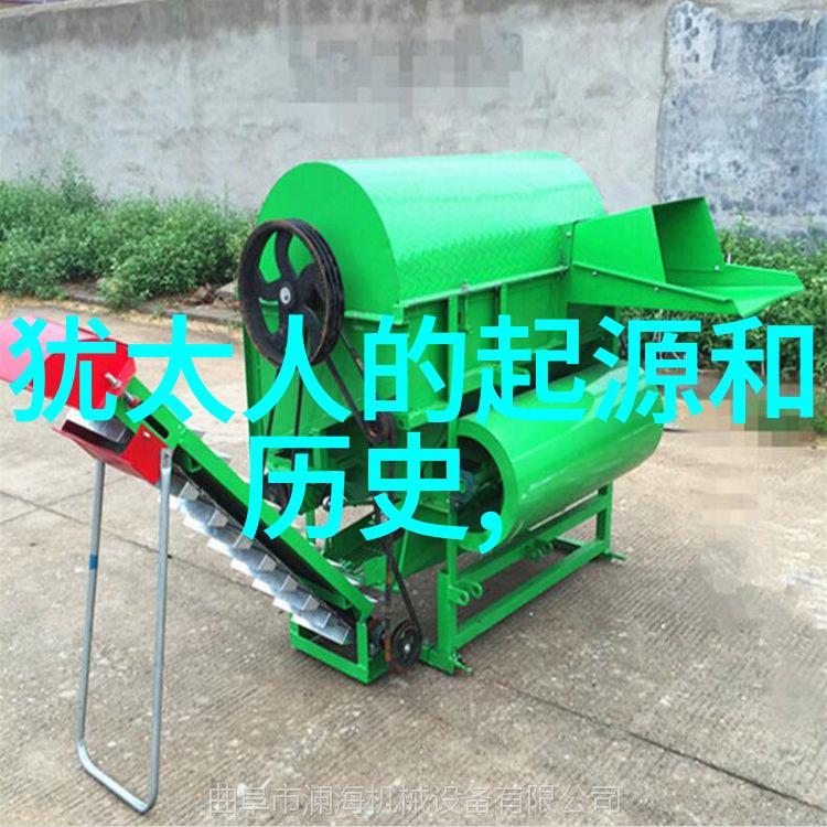 中学历史教学园地-回望往昔启迪未来中学历史教学园地的探索与实践