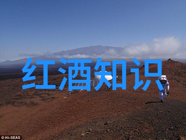 黑皮诺之都科金博的醇香风情