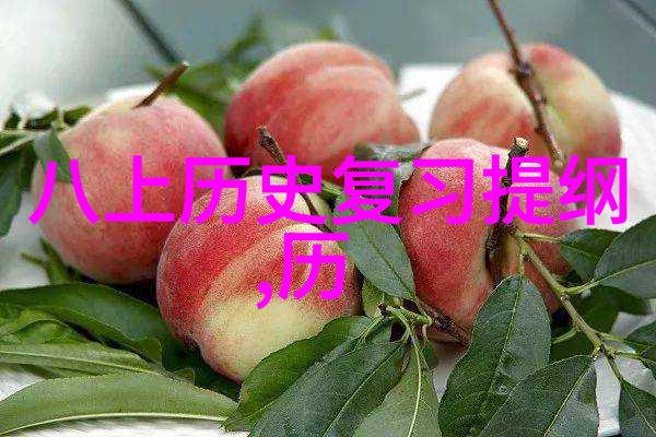 探索庄园的秘密引领你走进虚拟世界的游戏