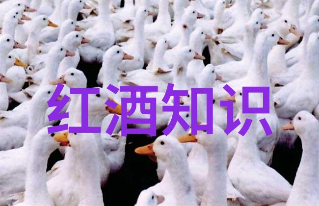 萝li精品资源无码我来教你如何找到那些超级稀缺的高清视频