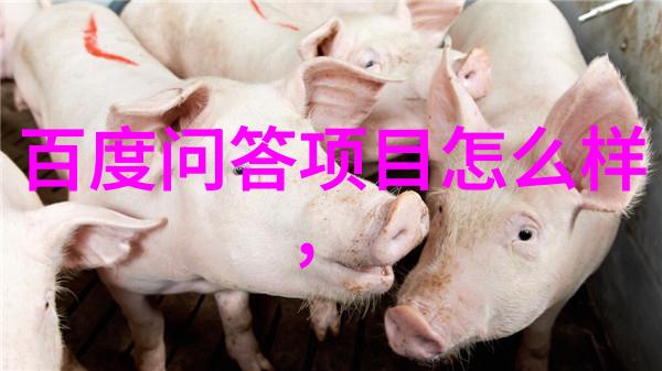 上海周边城市旅游中为什么不尝试将勃艮第白葡萄酒与家常菜进行搭配呢