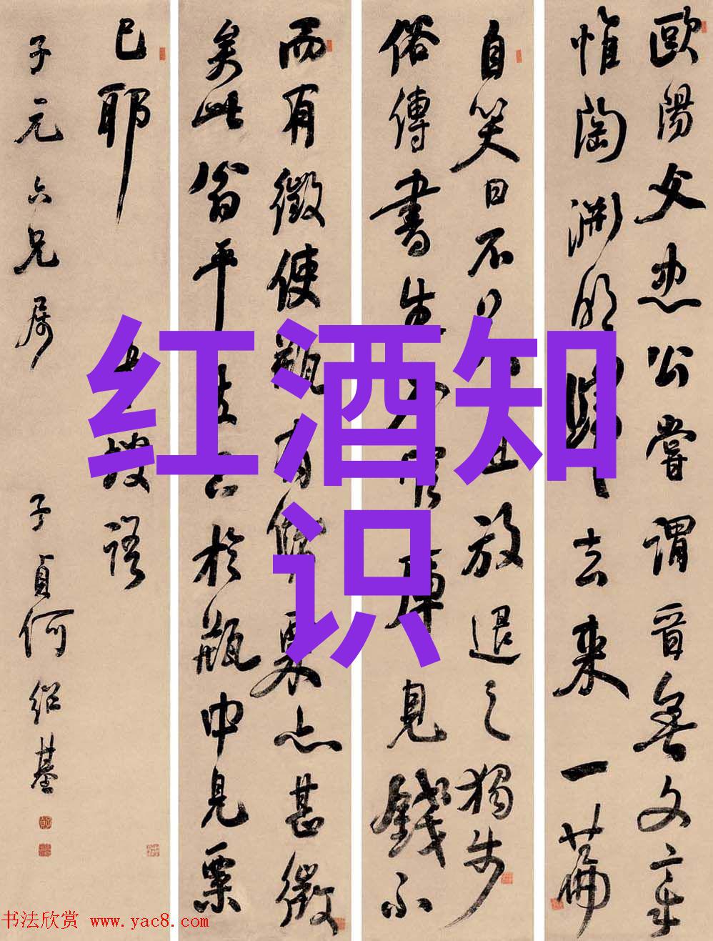 老板身影下的北京庄园传奇与现实