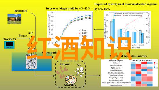 大中华收藏网-探秘古籍宝库大中华收藏网如何保护中国文化遗产的独特之处