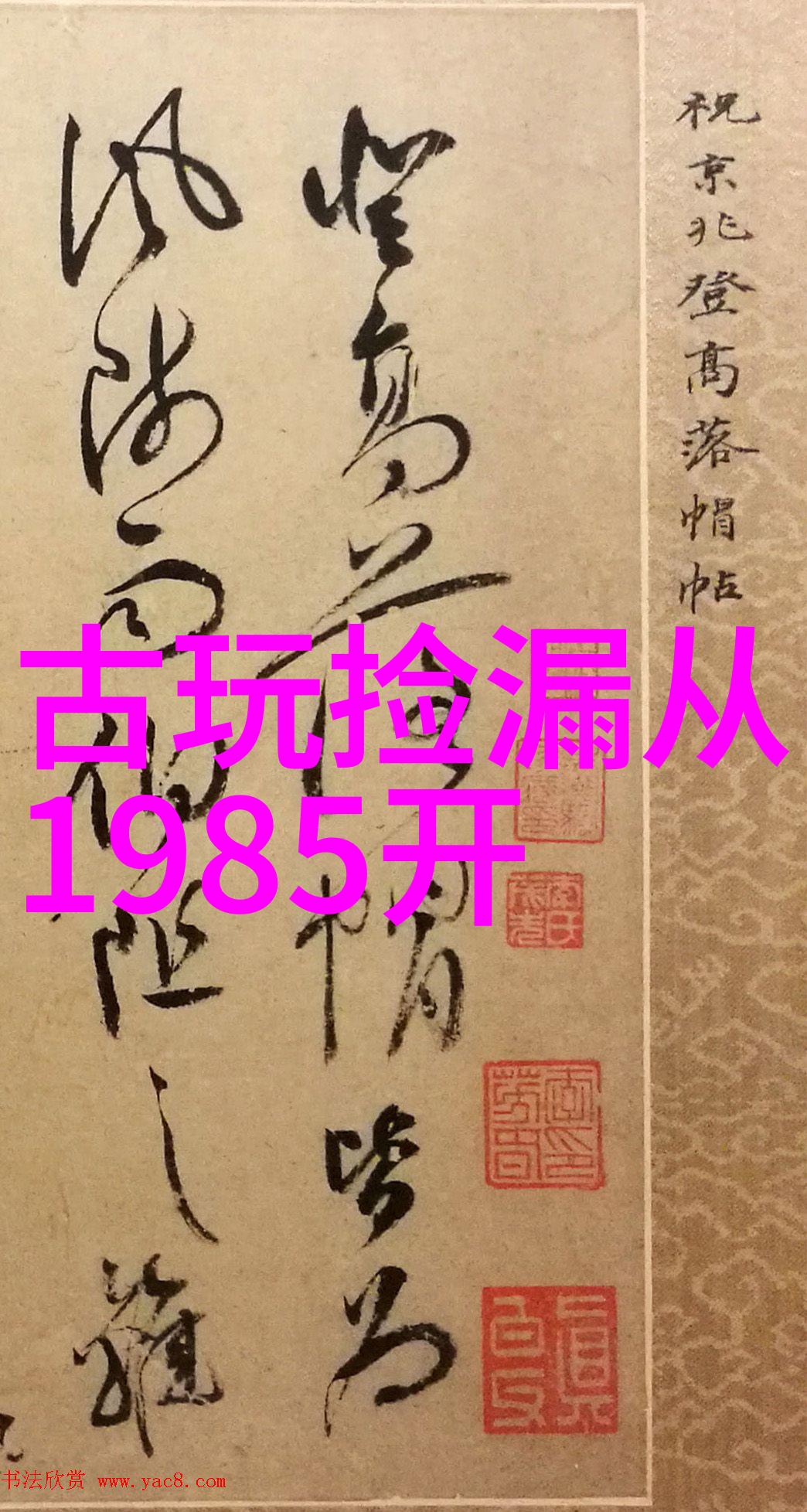 猫的多姿多彩探秘全球最美的猫品种