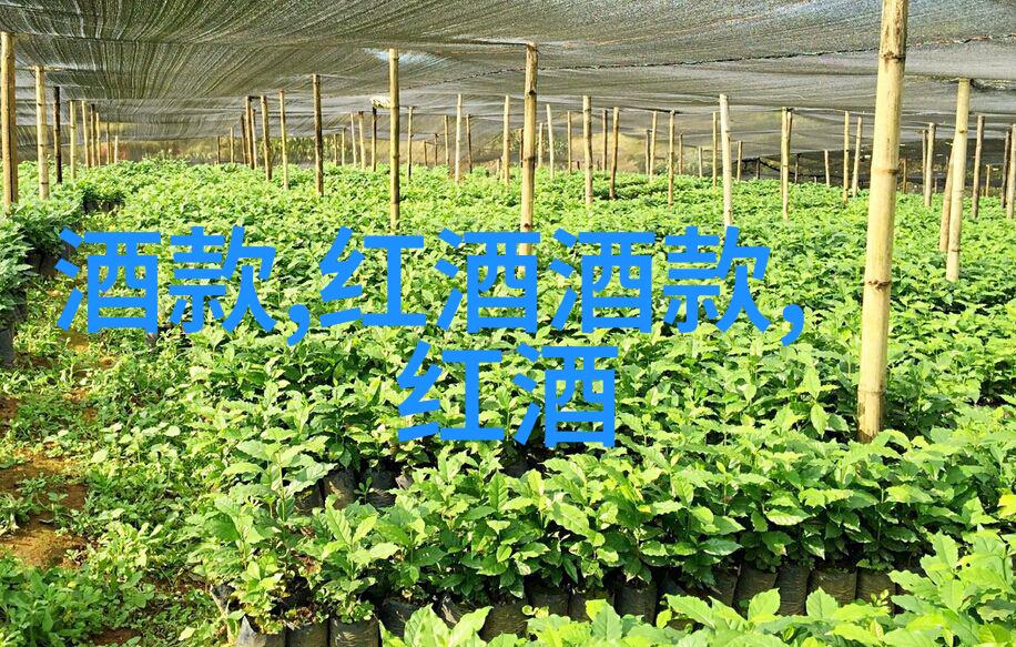 超级逍遥农场神秘的种子与沉睡的未来