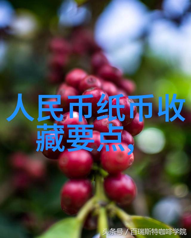 红酒的诞生之地葡萄园里的古老秘密
