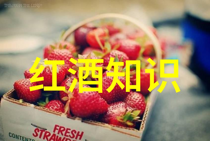 葡萄酒之旅绘制世界产区的美丽地图
